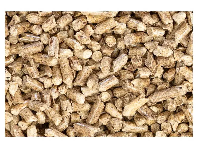 424_PELETY STANDARD 4